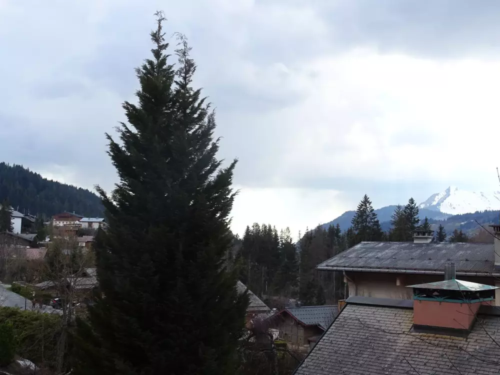 Location de Vacances Les Gets 883