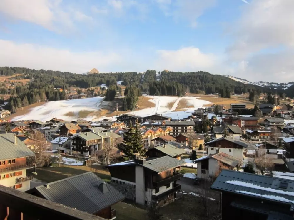 Location de Vacances Les Gets 889