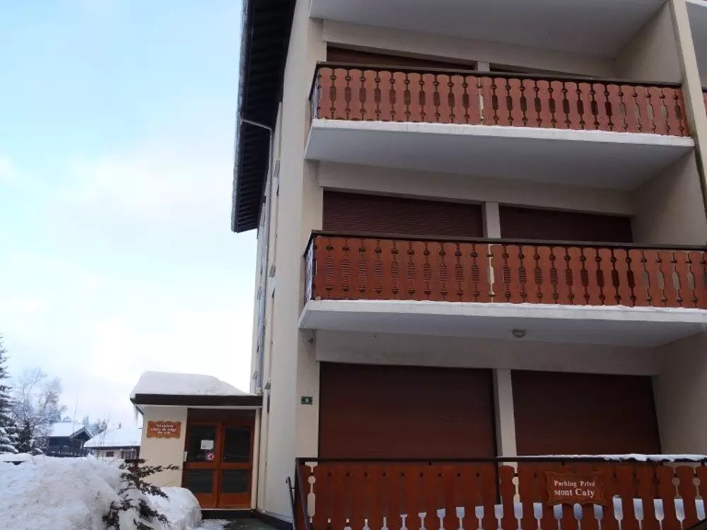 Location de Vacances Les Gets 891