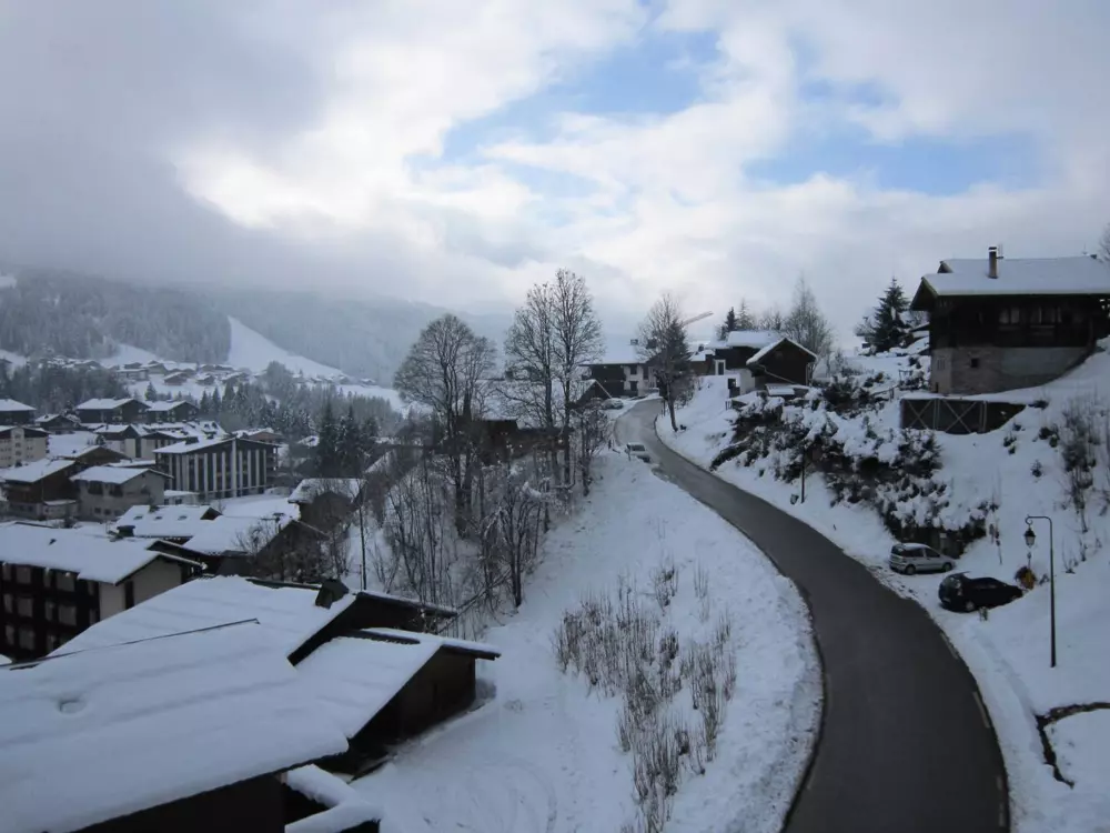 Location de Vacances Les Gets 892