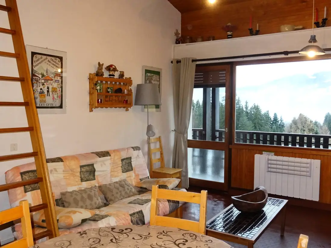 Location de Vacances Les Gets 893