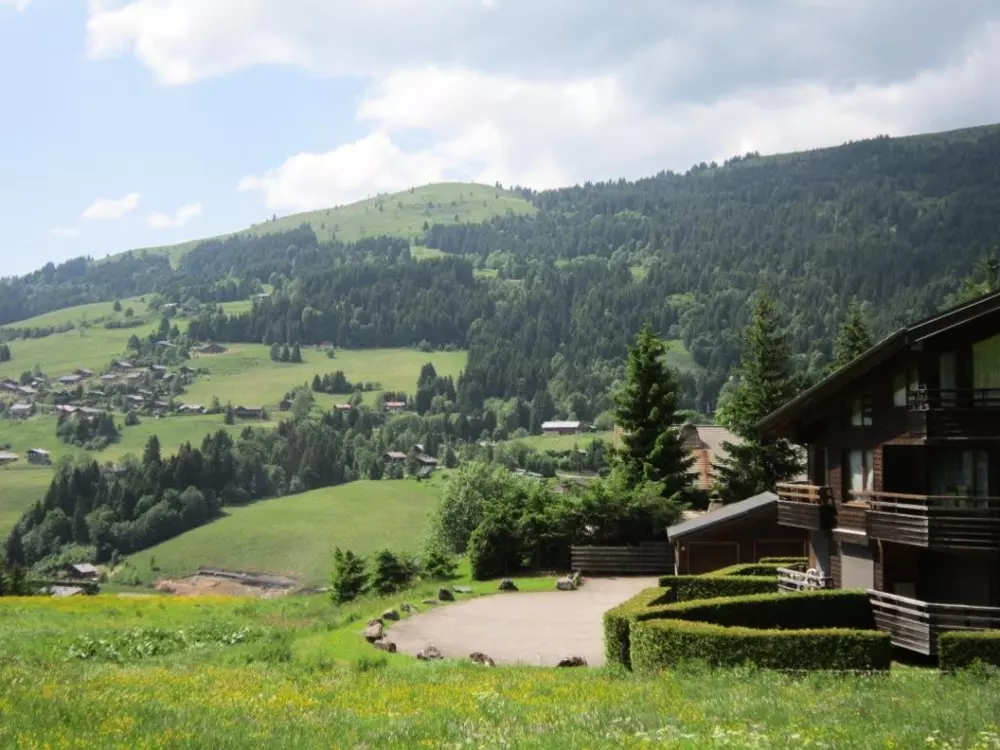 Location de Vacances Les Gets 896