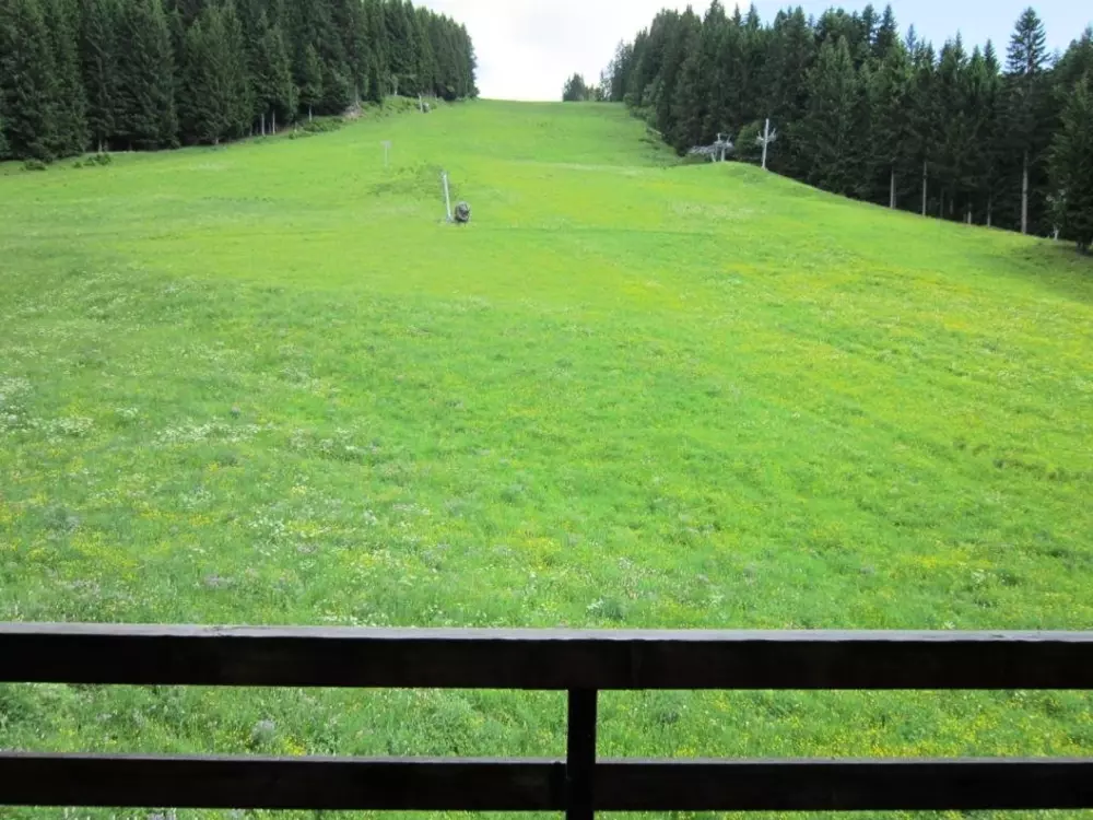 Location de Vacances Les Gets 896