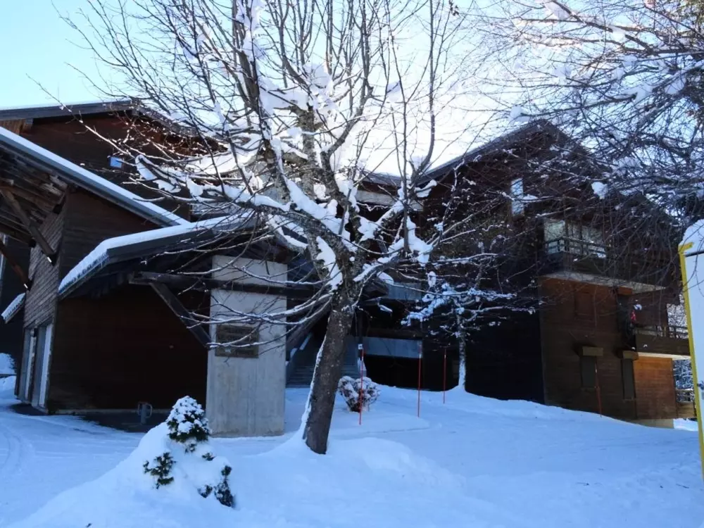 Location de Vacances Les Gets 896