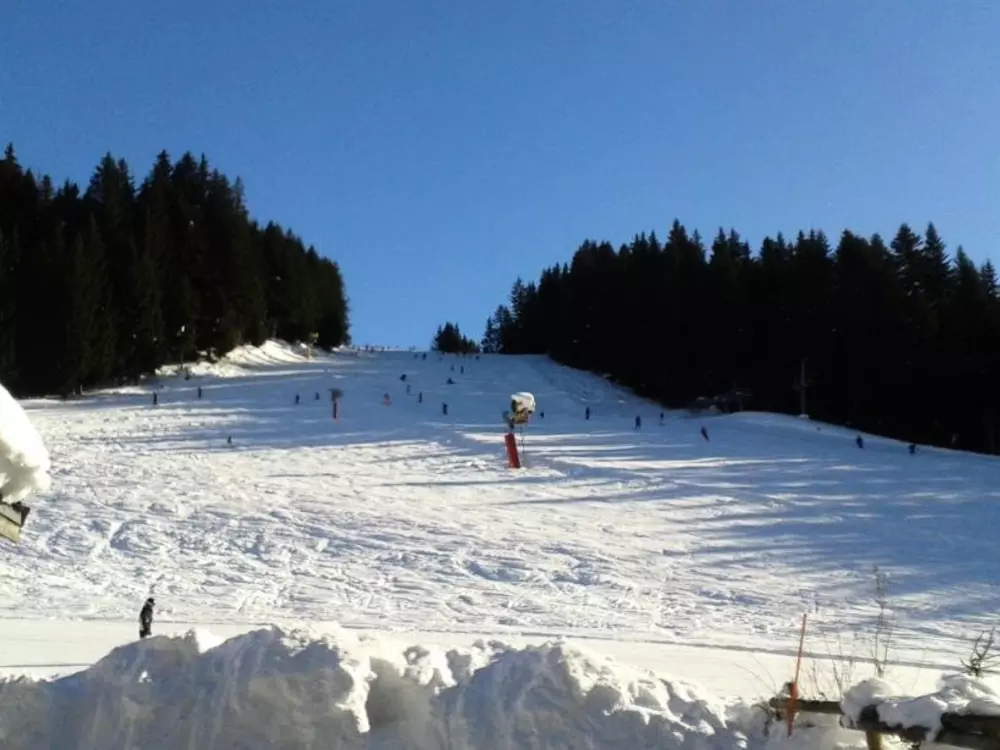 Location de Vacances Les Gets 896