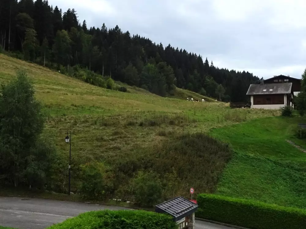 Location de Vacances Les Gets 917