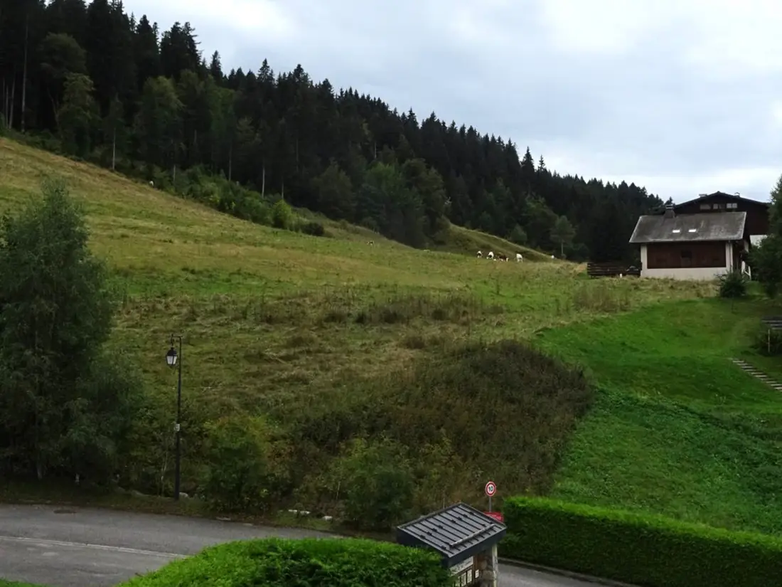 Location de Vacances Les Gets 917