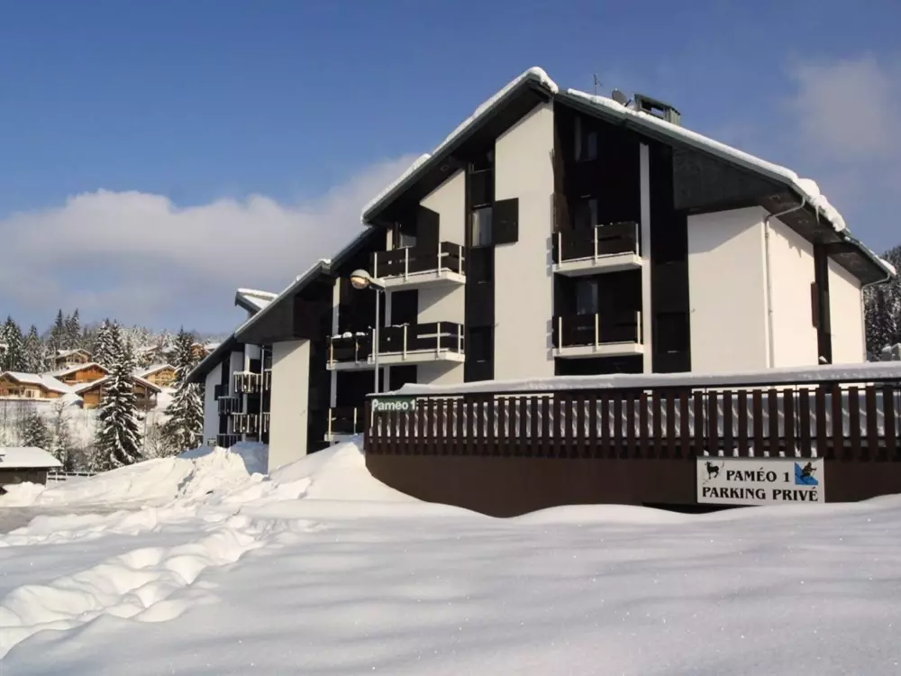 Location de Vacances Les Gets 917