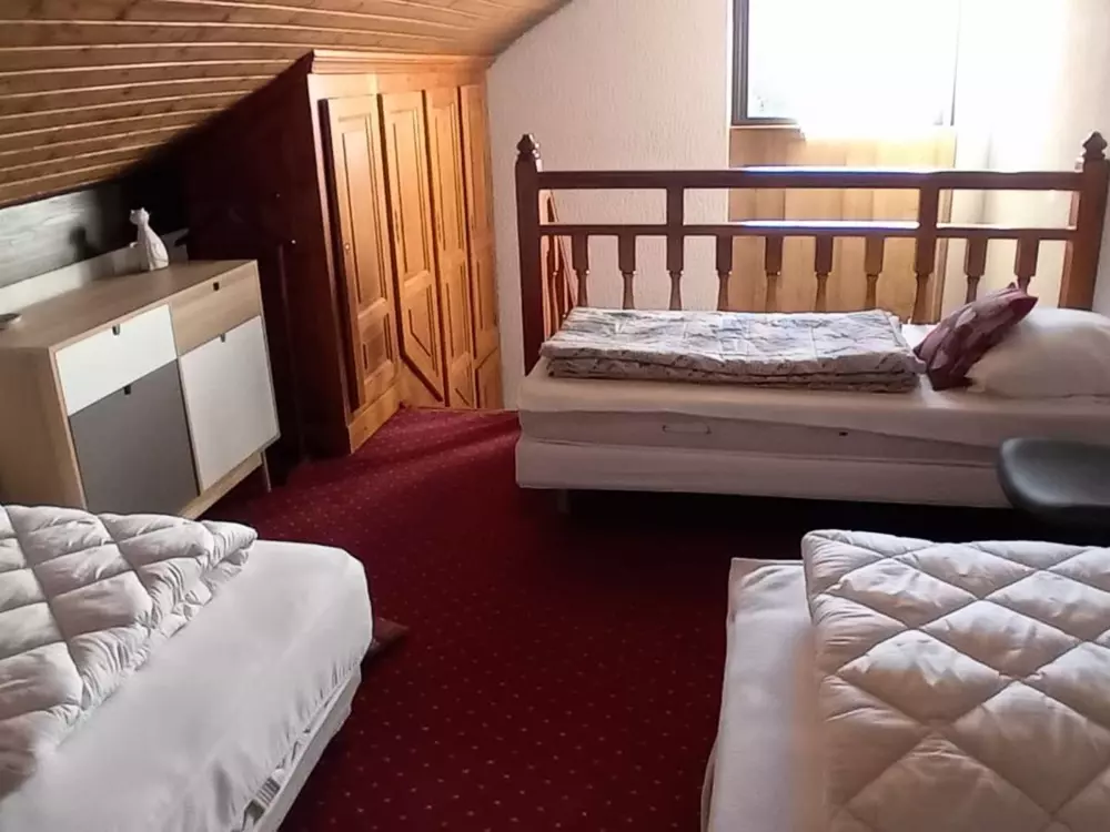 Location de Vacances Les Gets 917