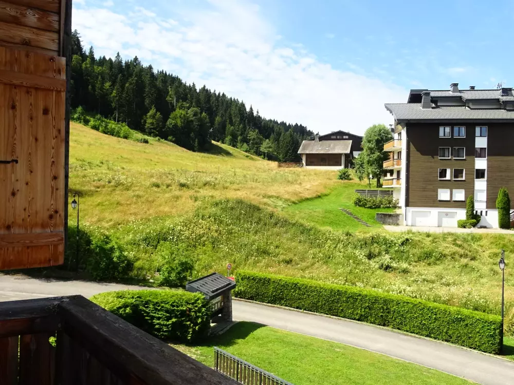 Location de Vacances Les Gets 917