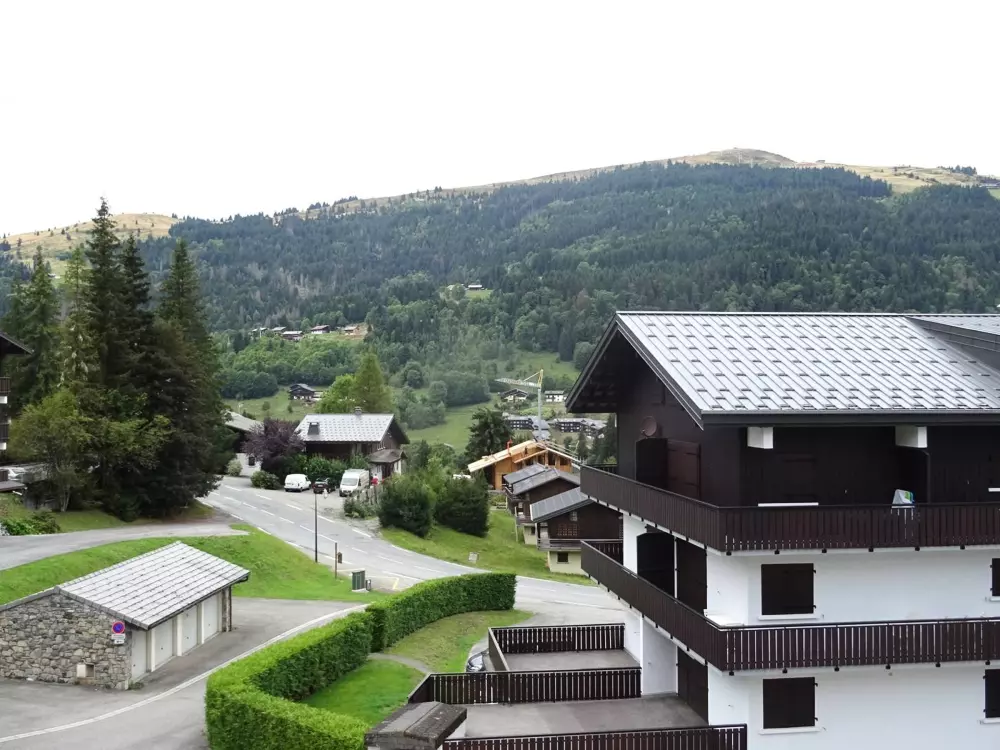 Location de Vacances Les Gets 917