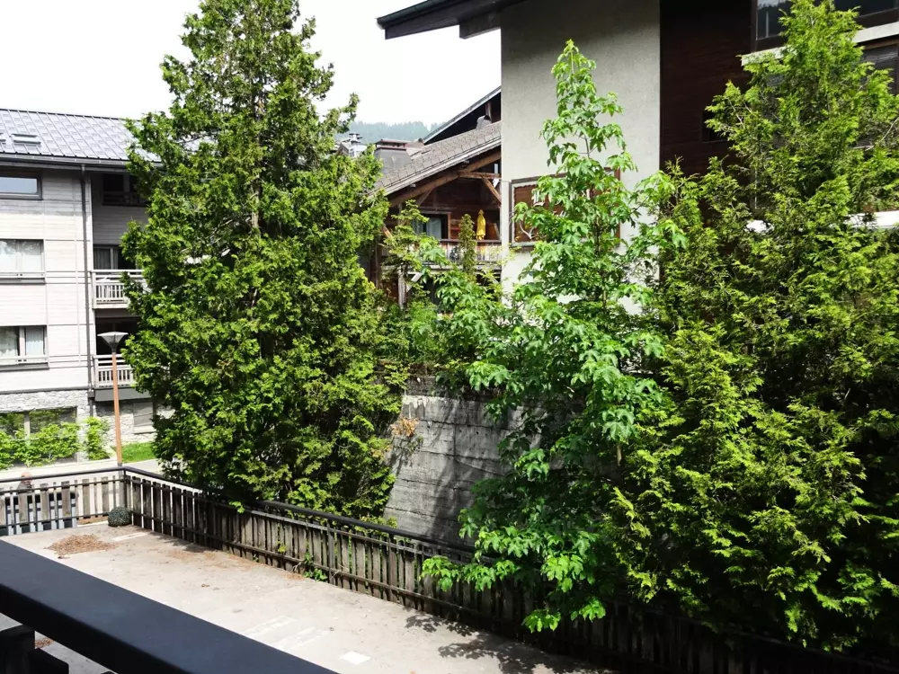 Location de Vacances Les Gets 941