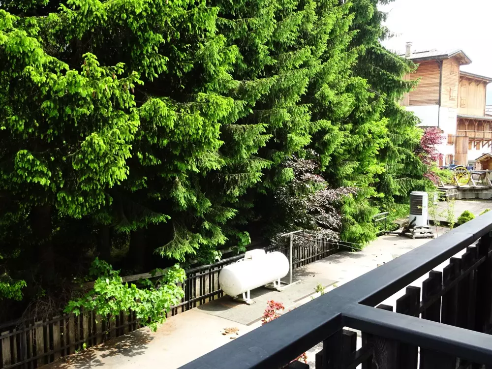 Location de Vacances Les Gets 941