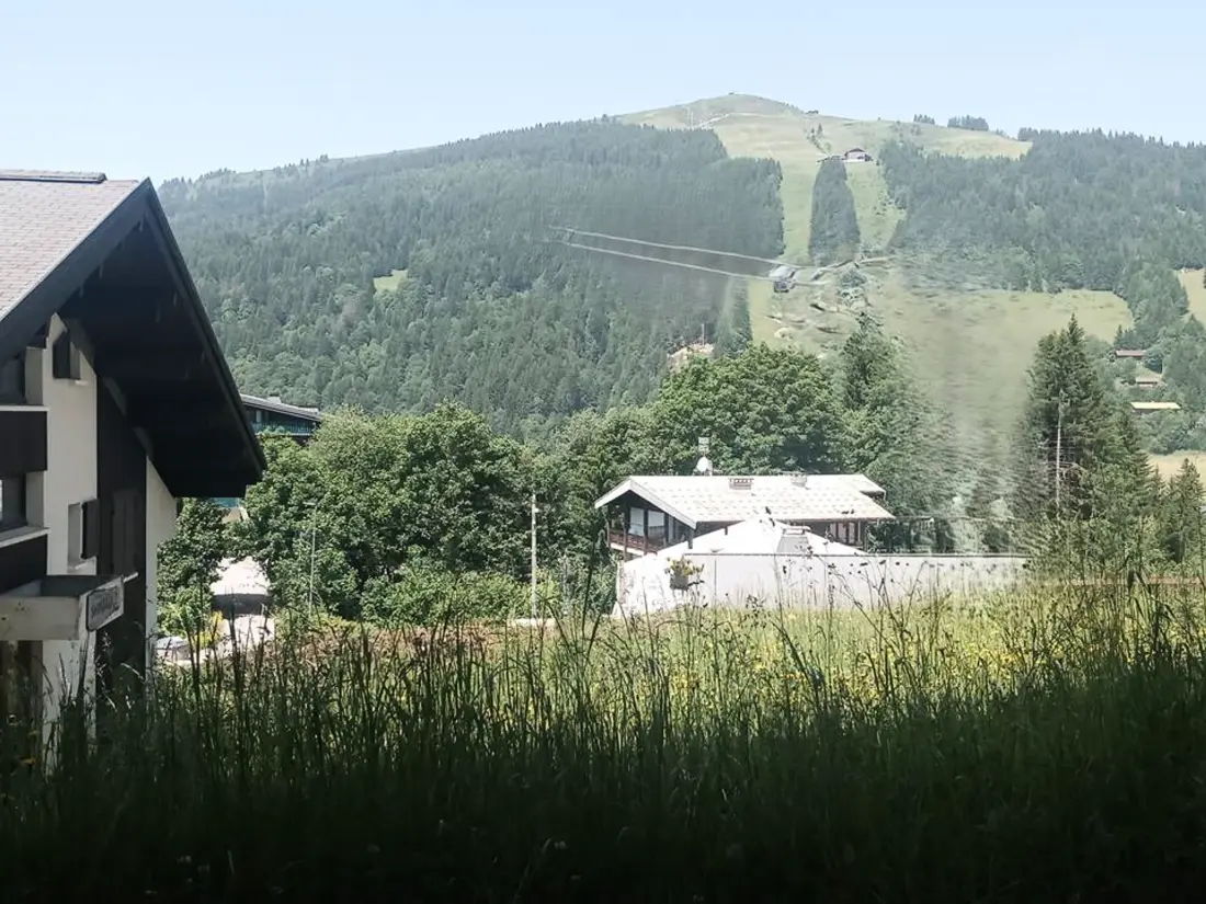 Location de Vacances Les Gets 946