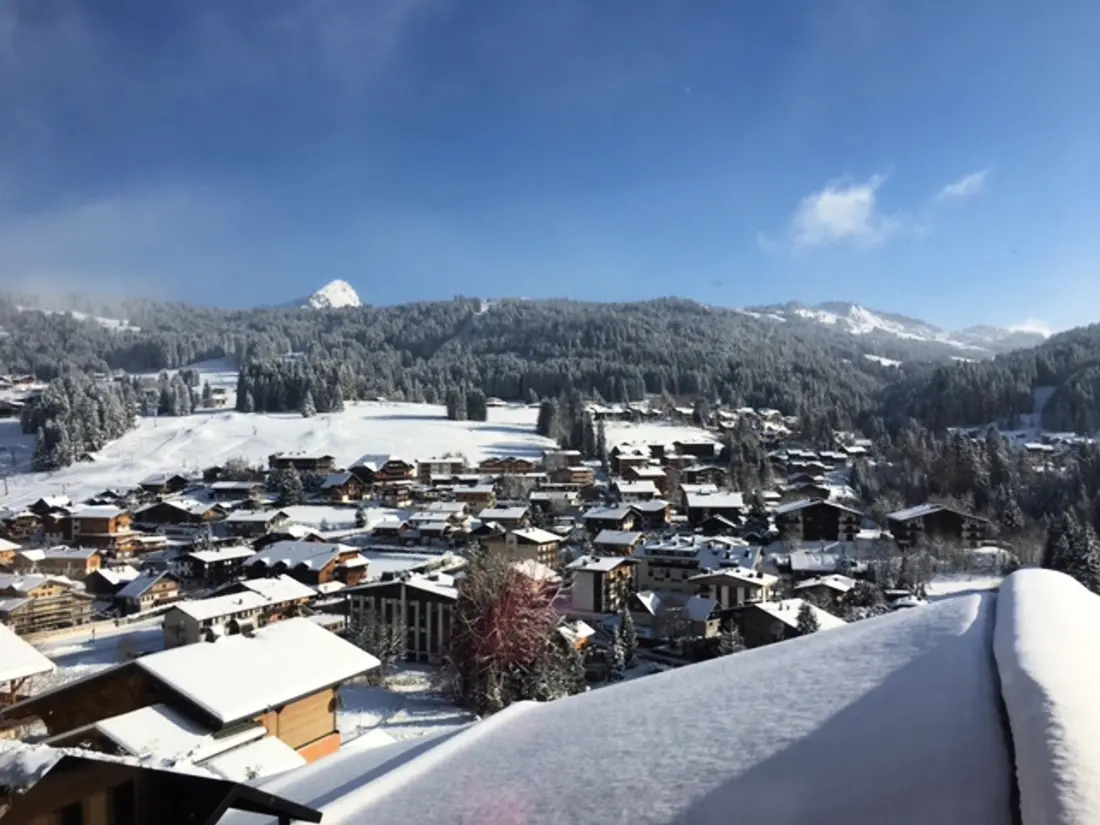 Location de Vacances Les Gets 947