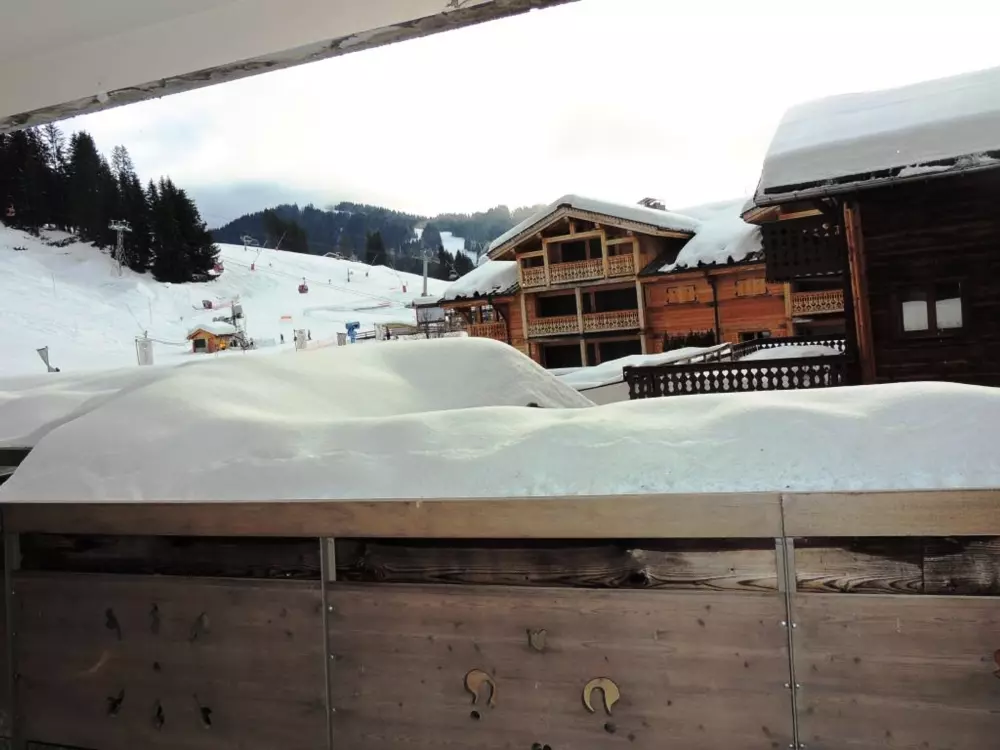 Location de Vacances Les Gets 957