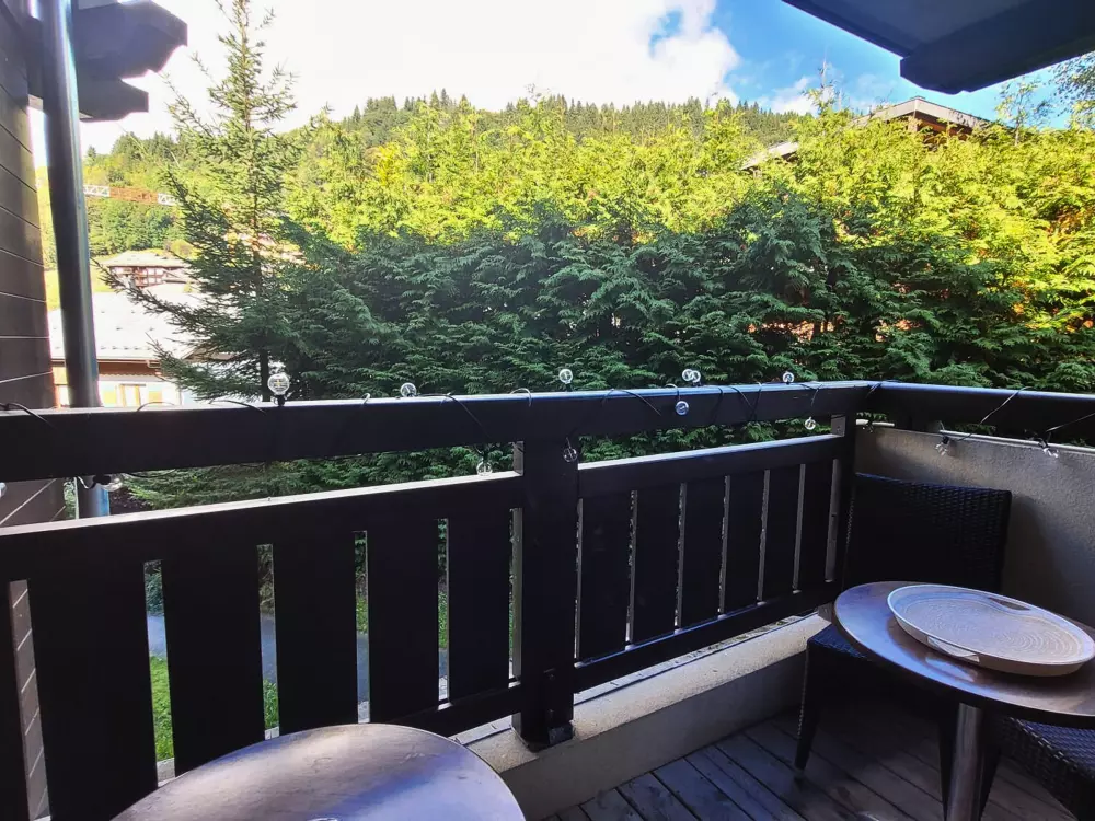 Location de Vacances Les Gets 962