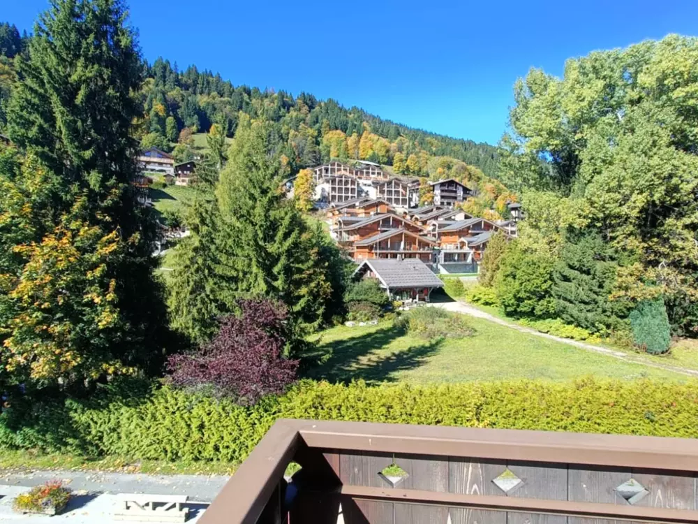 Location de Vacances Les Gets 967