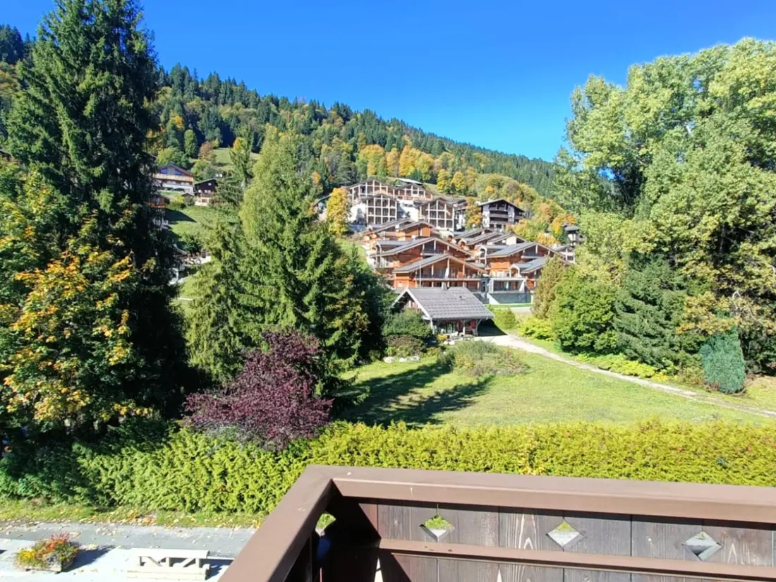Location de Vacances Les Gets 967