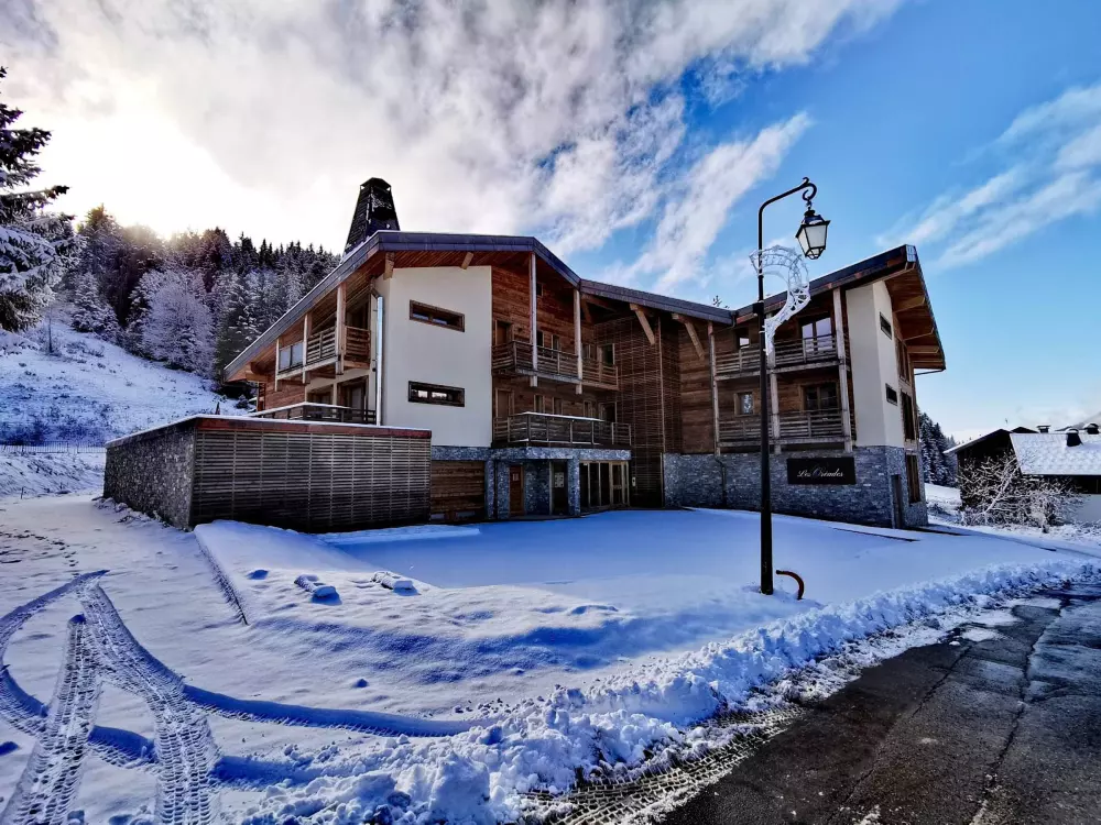 Location de Vacances Les Gets 97