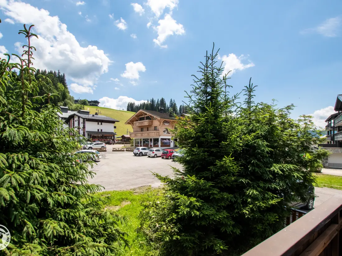 Location de Vacances Les Gets 990