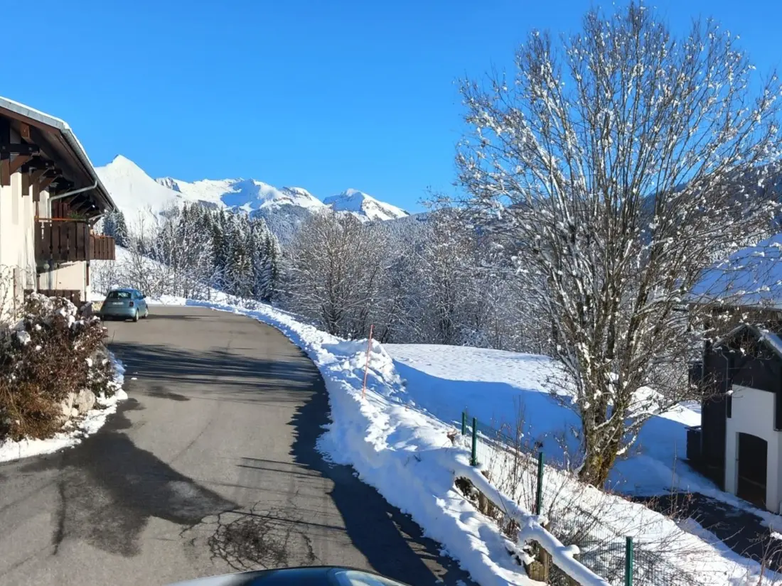 Location de Vacances Les Gets 997