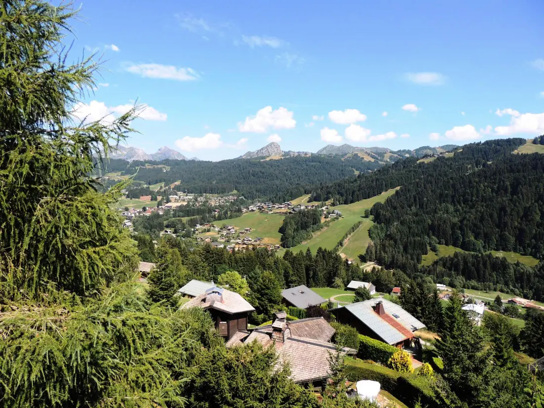 Maison de Vacances Les Gets 102