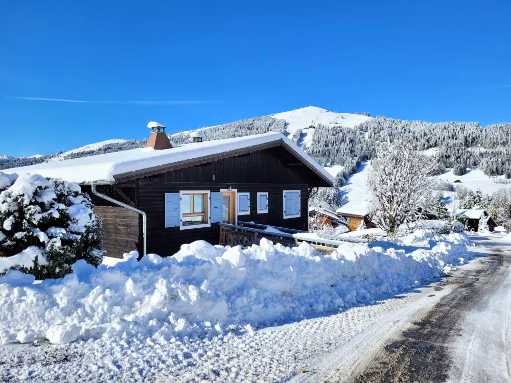 Maison de Vacances Les Gets 114