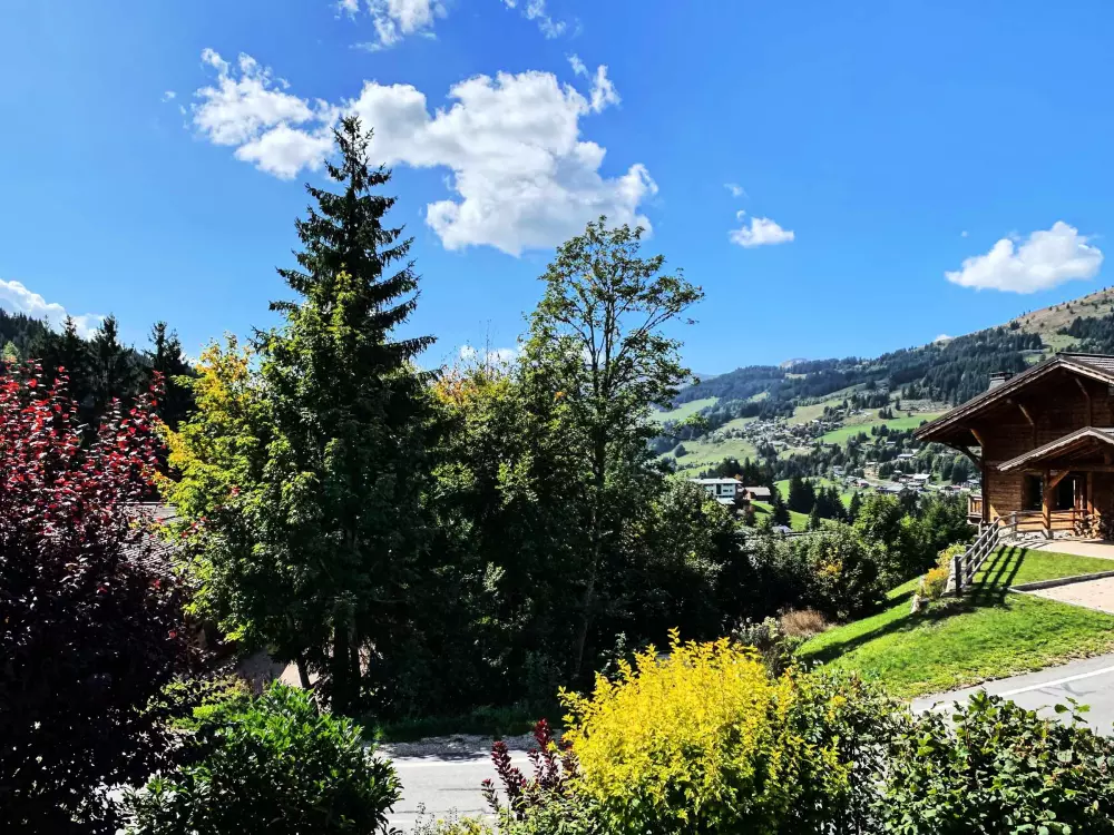 Maison de Vacances Les Gets 281