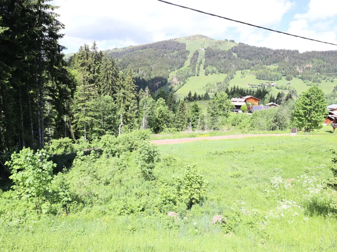 Maison de Vacances Les Gets 353
