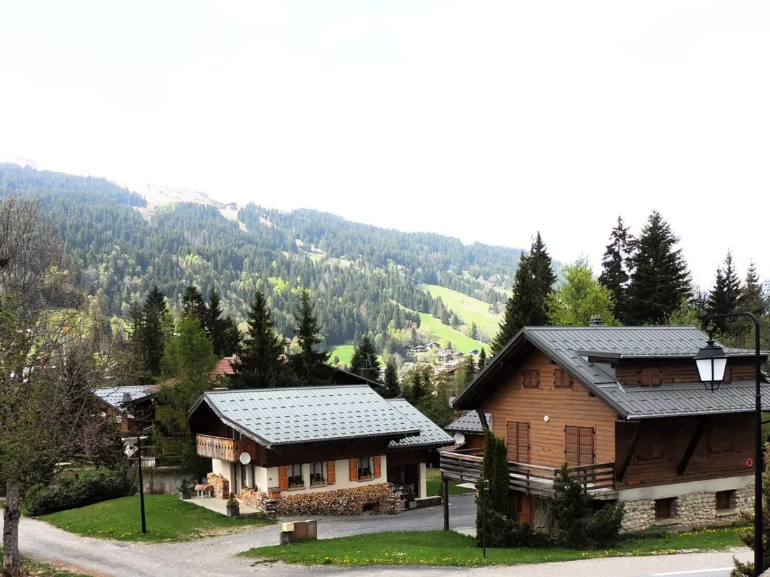 Maison de Vacances Les Gets 484