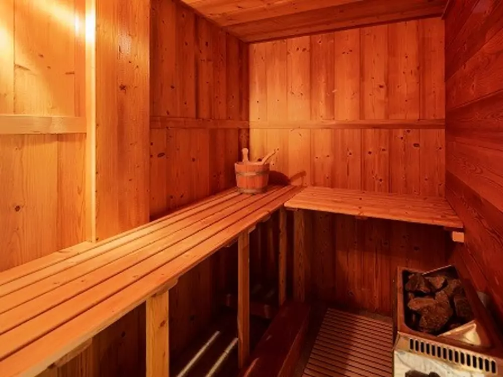 Maison de Vacances Les Gets 561