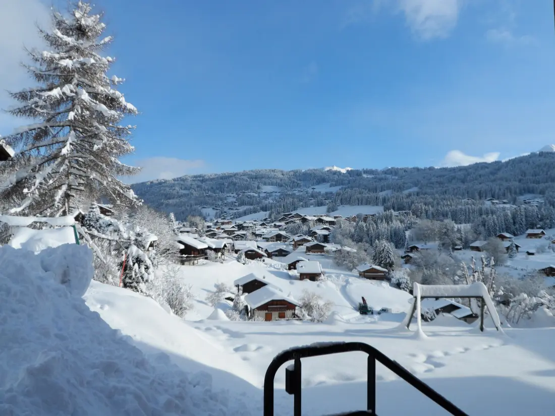 Maison de Vacances Les Gets 561
