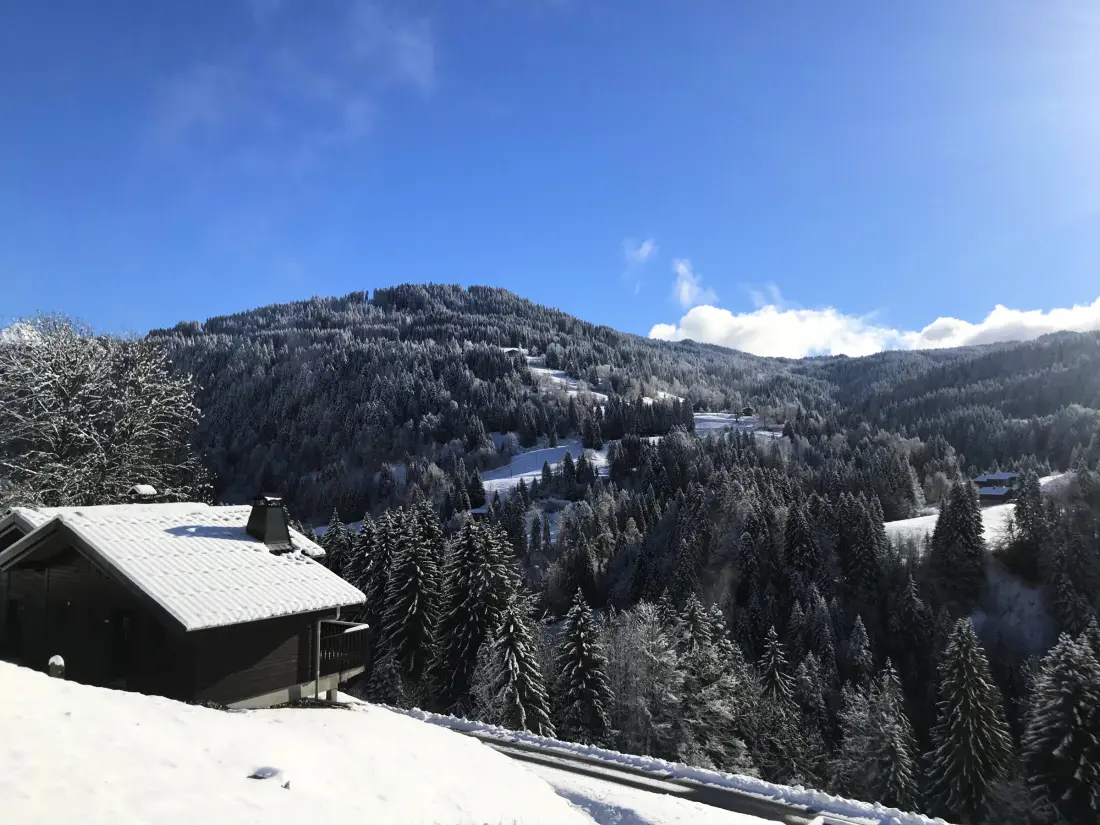 Maison de Vacances Les Gets 568