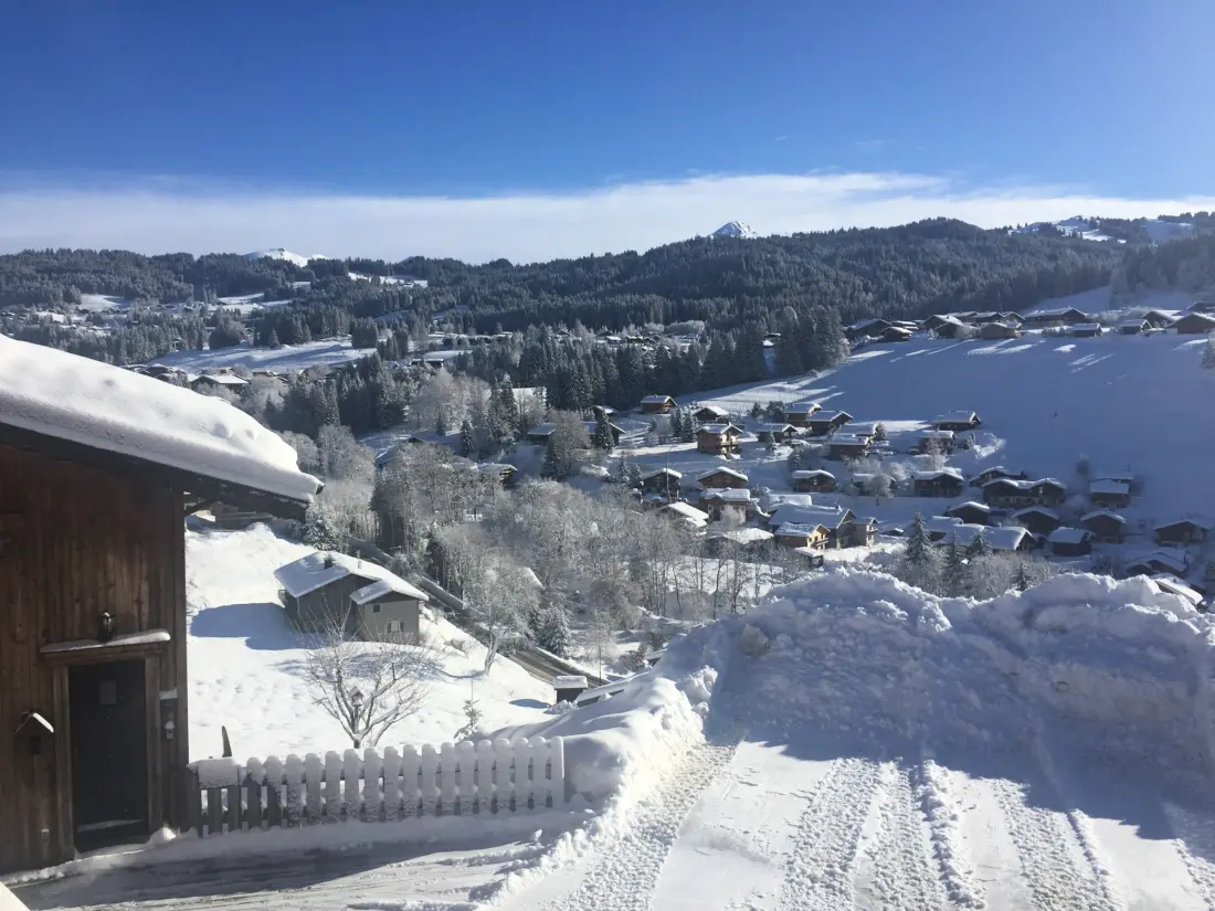 Maison de Vacances Les Gets 611