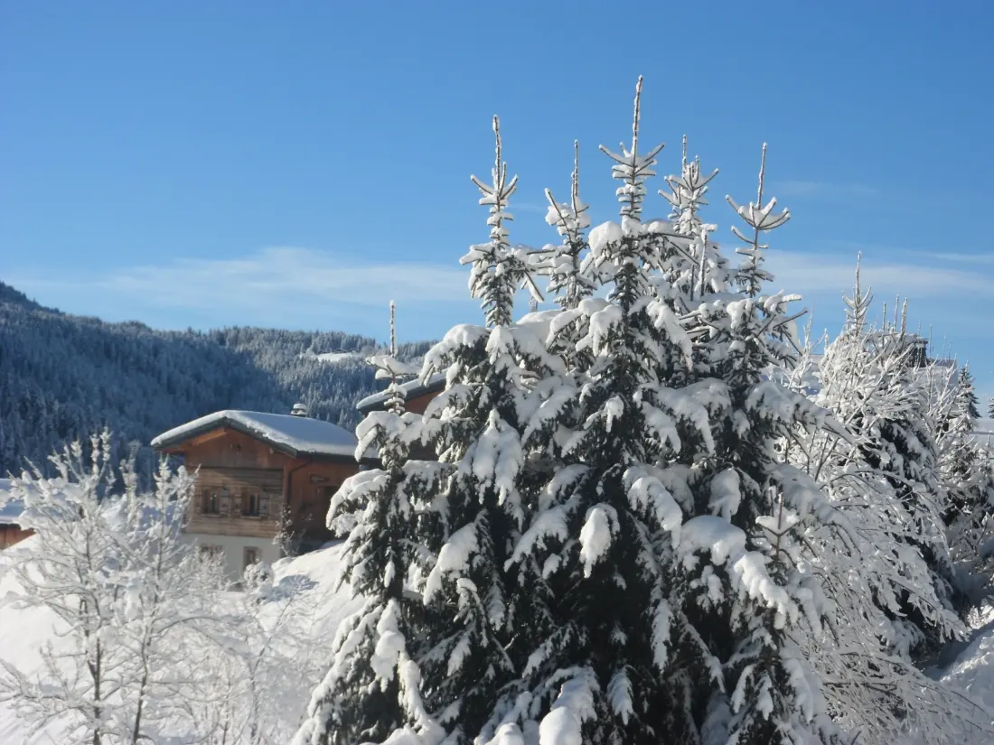 Maison de Vacances Les Gets 611