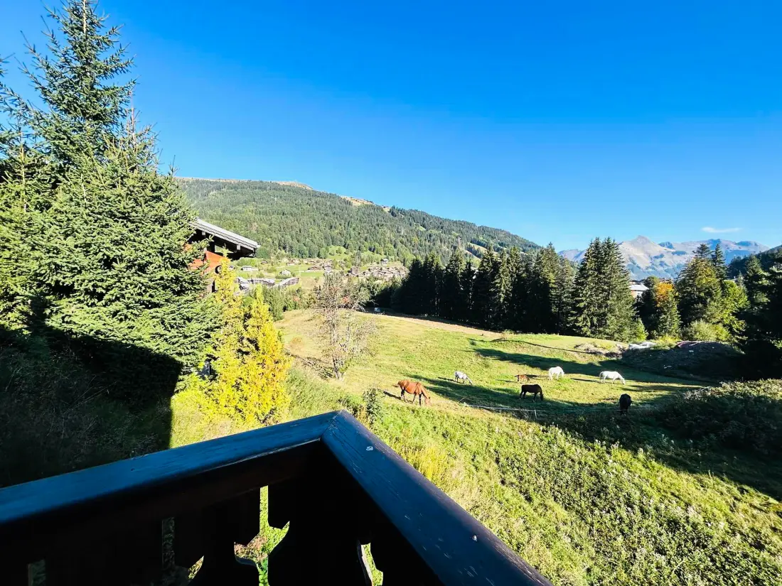 Maison de Vacances Les Gets 692