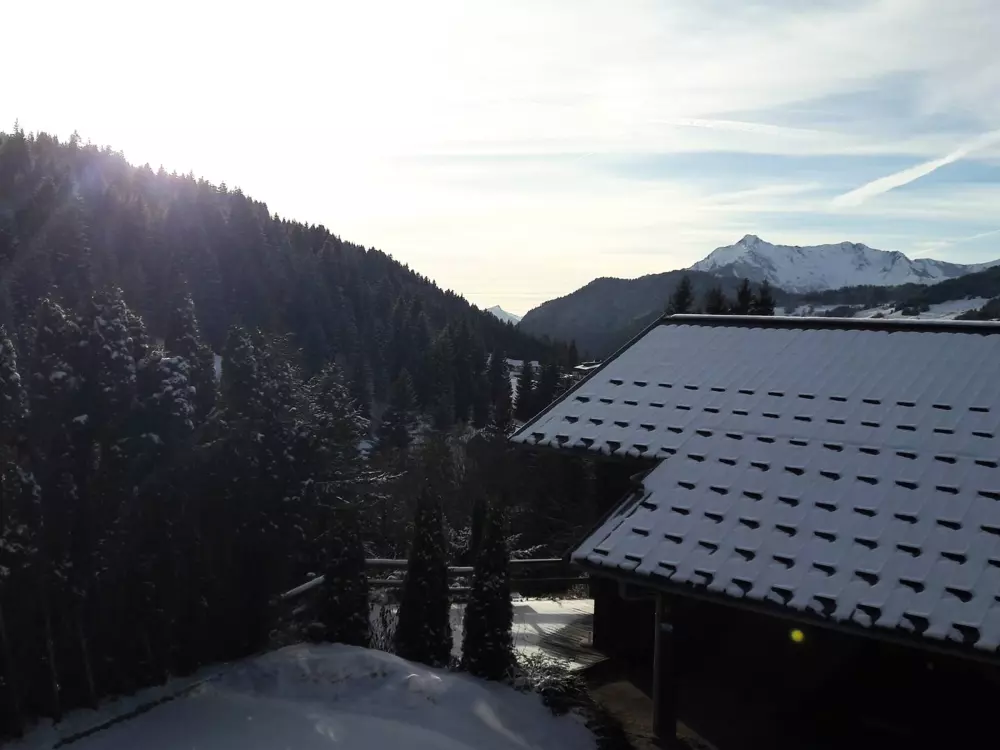 Maison de Vacances Les Gets 840