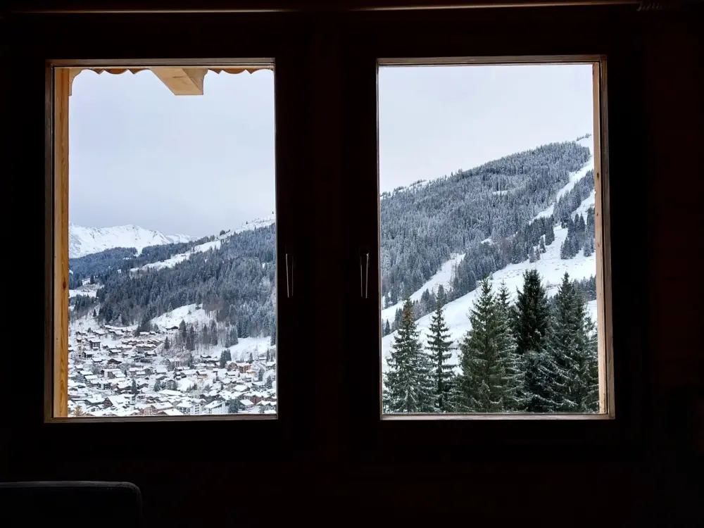 Maison de Vacances Les Gets 991