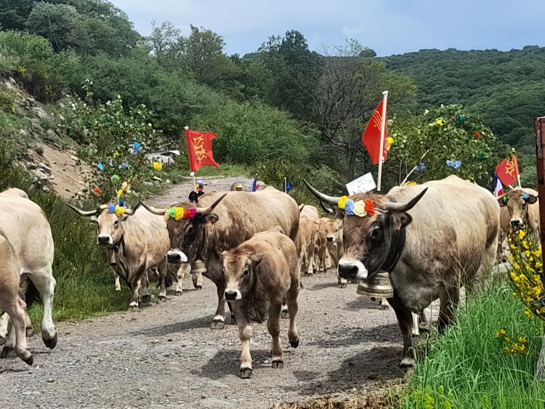 Gîte de France Bon aubrac pour 12 personnes 2 épis