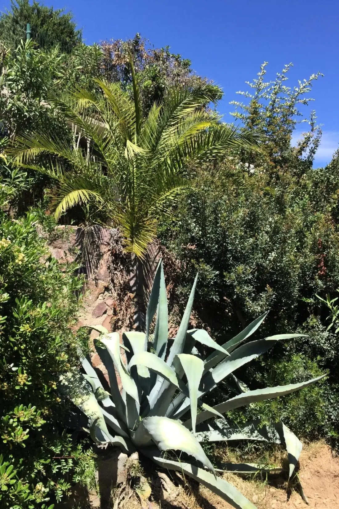 Maison de Vacances Les Issambres
