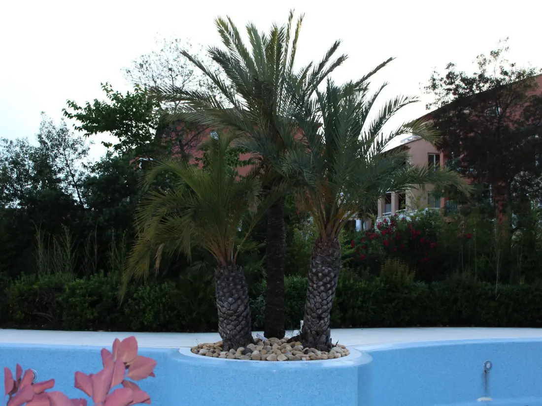 Résidence Französische Riviera - Les Issambres T2 für 4 Personen am Meer