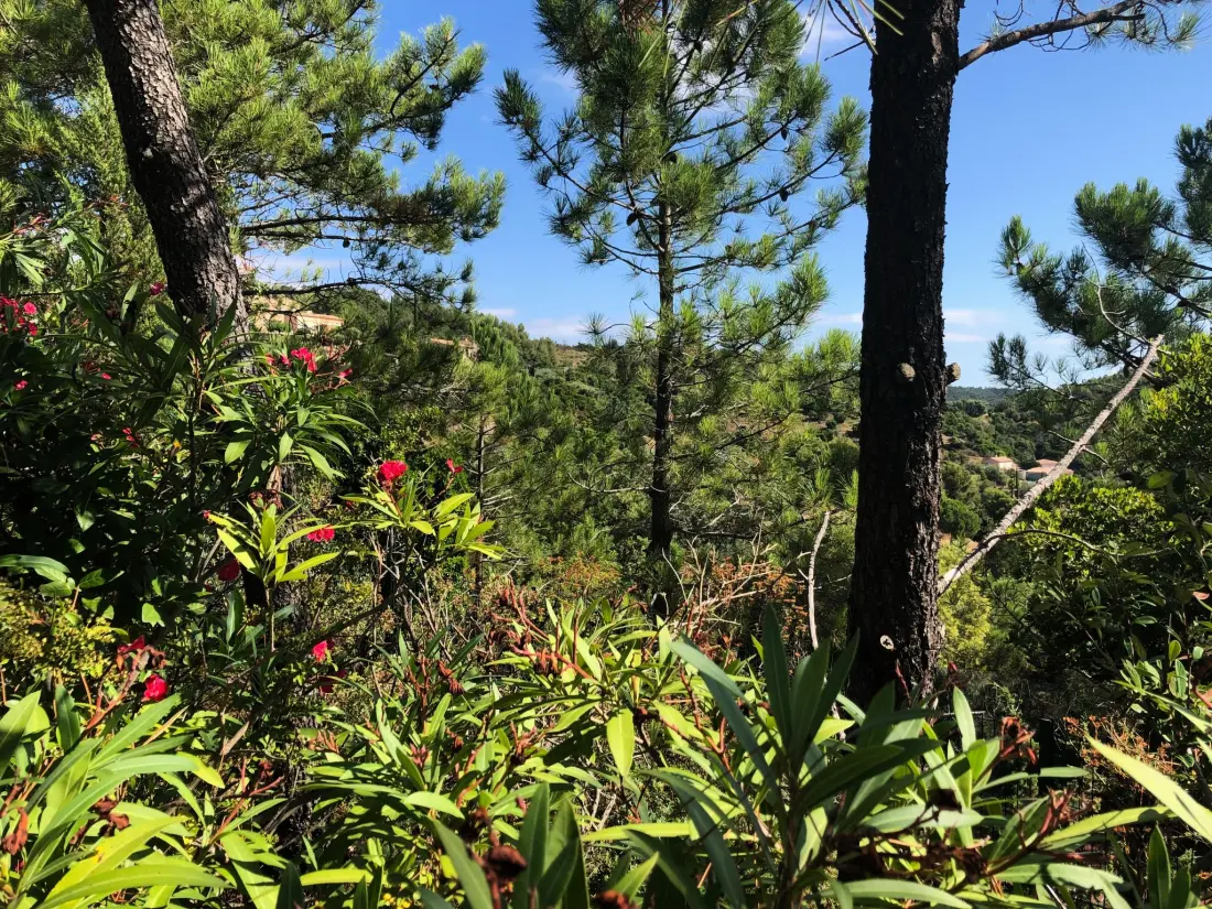 Résidence Golf de ST Tropez ,Wohnung mit Balkon