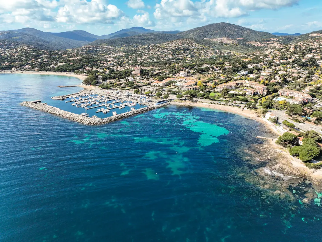 Résidence Les Palmiers