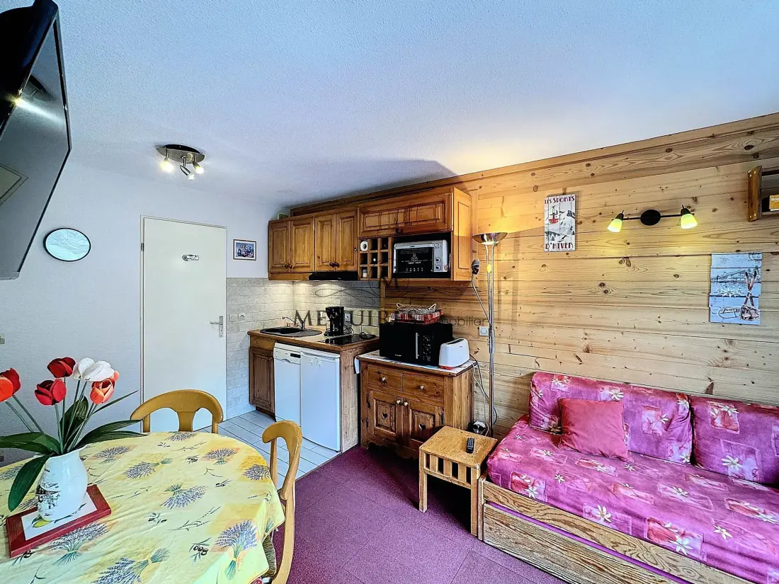 Location de Vacances Les Menuires 1162