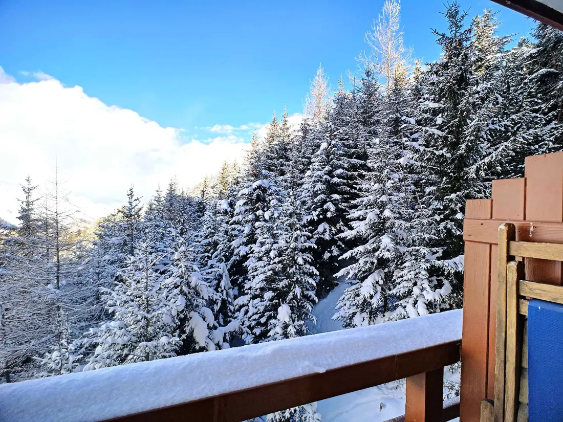 Location de Vacances Les Menuires 407