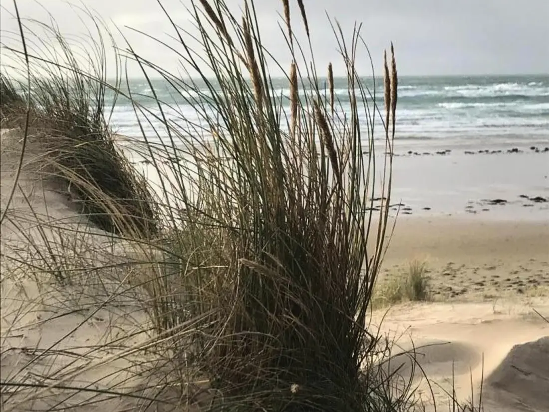 Maison de Vacances Les Moitiers-d'Allonne 6