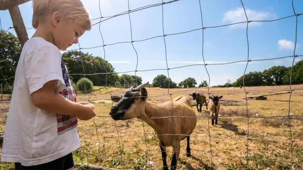 Camping Les Brillas 3 étoiles★★★