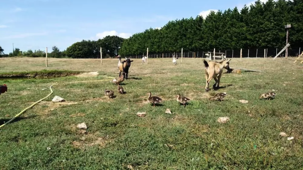 Camping Les Brillas 3 étoiles★★★