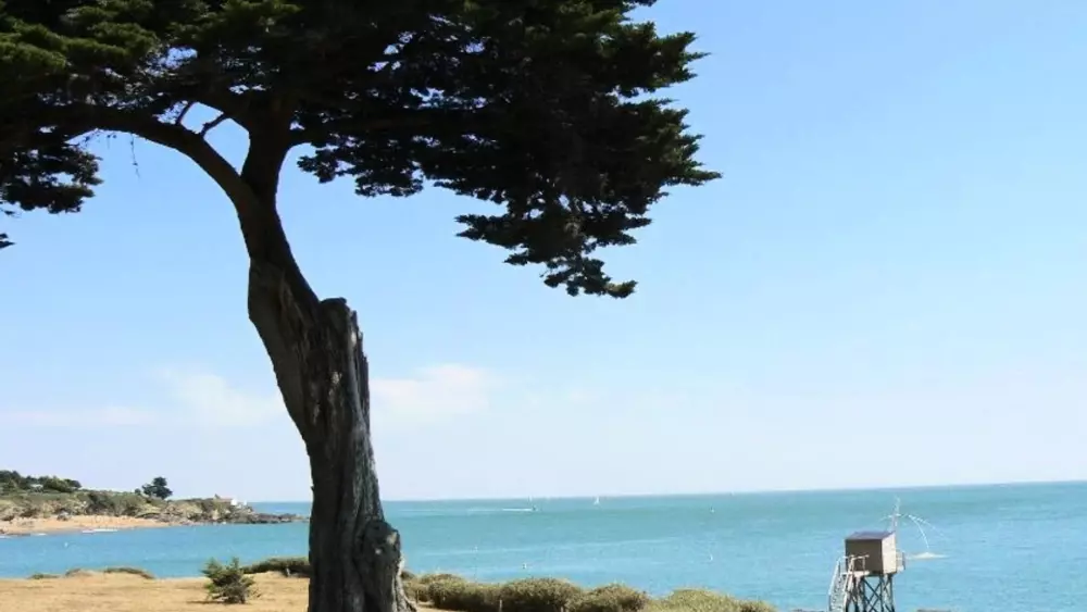 Camping Les Brillas 3 étoiles★★★